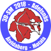 3D-SM 2018