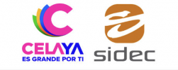 Municipal Celaya 2023