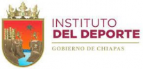 2° Torneo Indoor Parachico, Chiapas