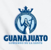Fogueo Estatal Inicial Guanajuato Rumbo a Olimpiada Nacional 2026