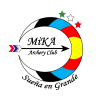 IV TORNEO DE LA AMISTAD 